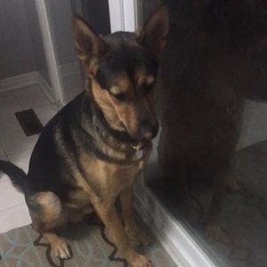 Meet your Posher, Rita